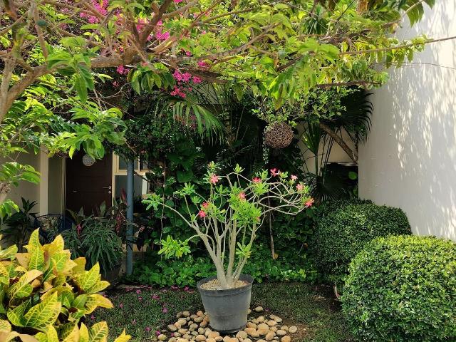 Casa amueblada en renta en Privada Marsella