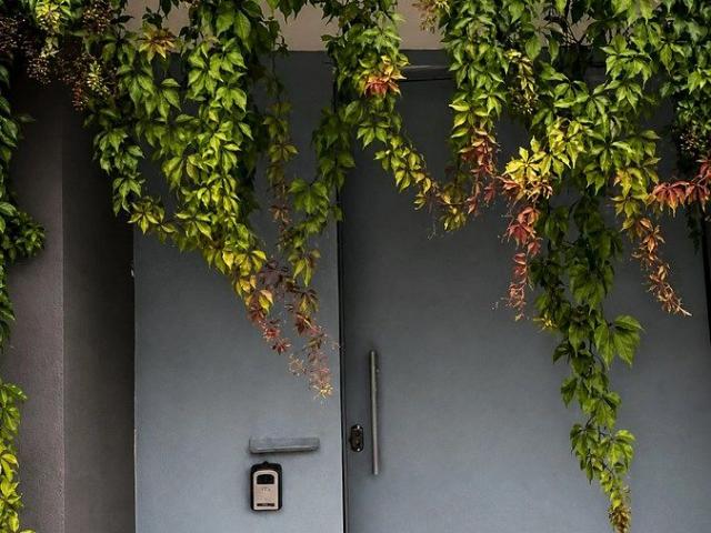 Casa Amueblada providencia una sola planta