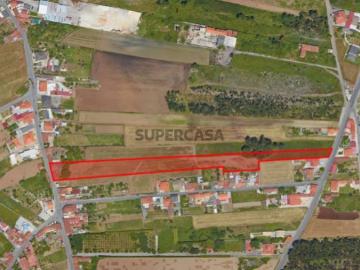 Casa Antiga + terreno Arada