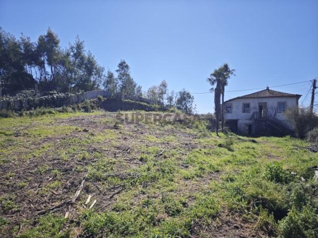 Casa antiga com terreno e água própria na Brejoeira Monção