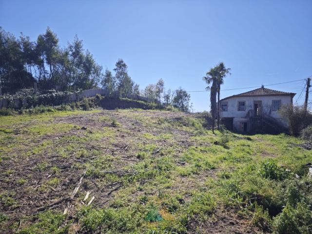 Casa antiga com terreno e água própria na Brejoeira Monção