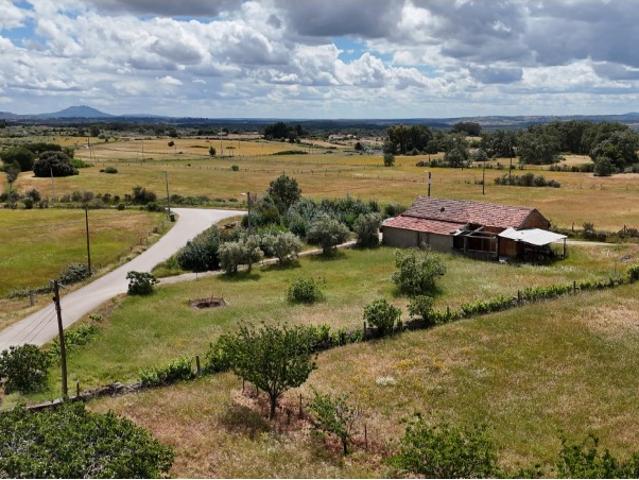 Casa antiga em pedra com terreno, poço em pedra, oliveiras e árvores de fruto. Fundão Castelo Branco