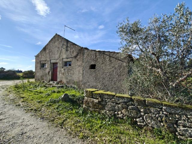 Casa antiga em pedra com terreno, poço em pedra, oliveiras e árvores de fruto. Fundão Castelo Branco
