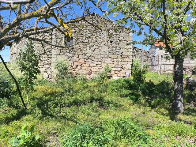Casa antiga, em pedra de granito, com terreno, poço e árvores de fruto