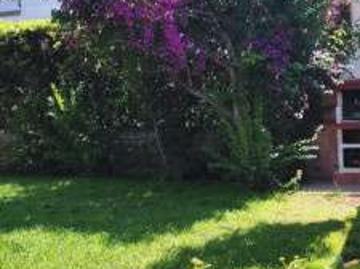Colle Romito, Latina Lazio - Giardino