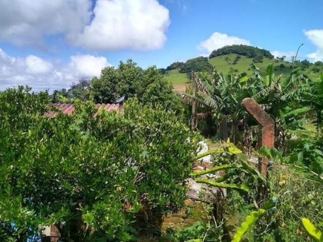 Casa, Bairro Lajeadinho, Igrejinha, RS