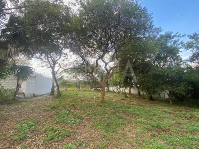 CASA BELLA TERRENO EN VENTA EN COLONIA CASA BELLA