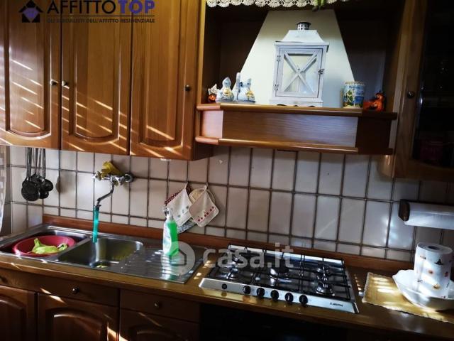 Casa bifamiliare in Affitto in zona Mirteto Romagnano Castagnara a Massa