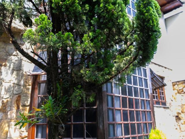 Casa, Bosque da Saúde, 4 Quartos, 540 m2 São Paulo