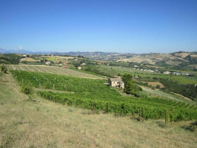 Casa Borgo Miriam Le Marche ES105995917