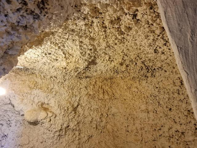CASA CUEVA CON TERRENO EN INGENIO