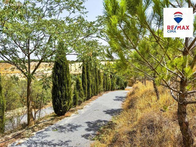 CASA CUEVA con PARCELA mas de 10.000 METROS