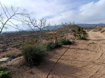 Casa Cueva en venta en Monóvar / Monóver, Alicante