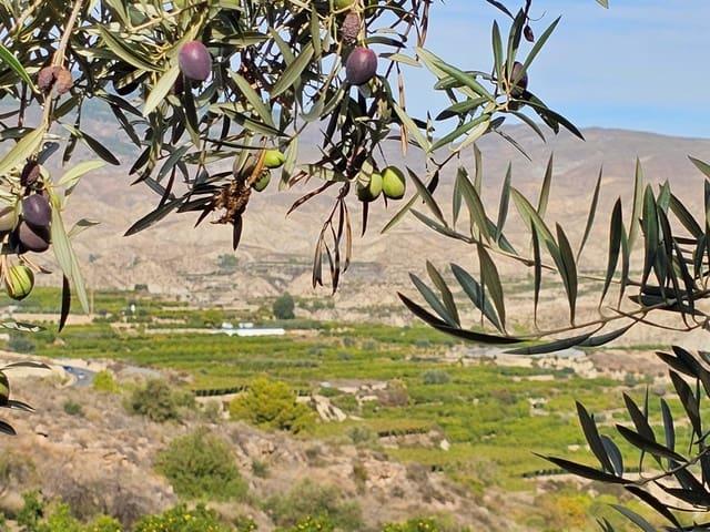 Casa Cueva en venta en Almería, Almería Costa Almería