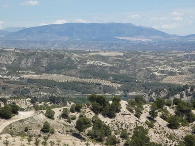 Casa Cueva en venta en Cortes de Baza, Granada