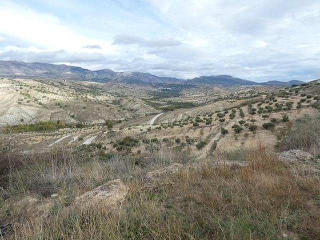 Casa Cueva en venta en Fuente Vera, Granada