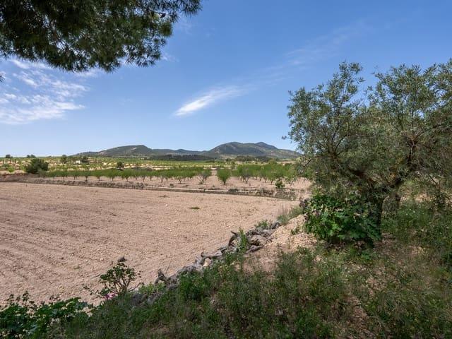 Casa Cueva en venta en Raspay, Murcia