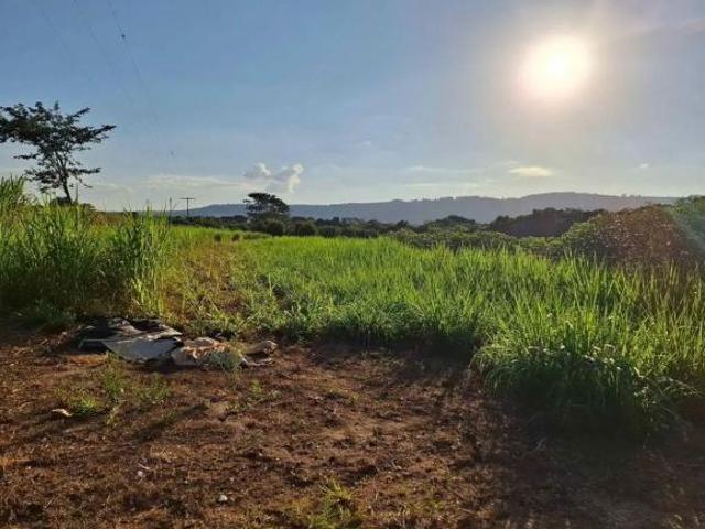 Casa,café,pastos,represa