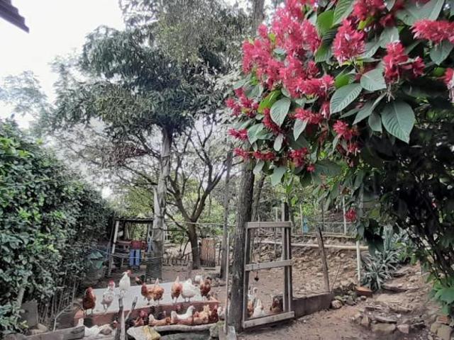 \ CASA CAMPESTRE