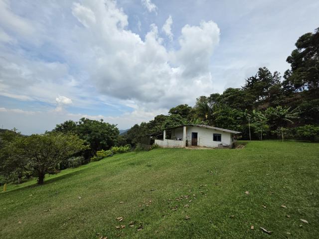 Casa Campestre En Venta En Altos Del Rosario En Dapa V369971