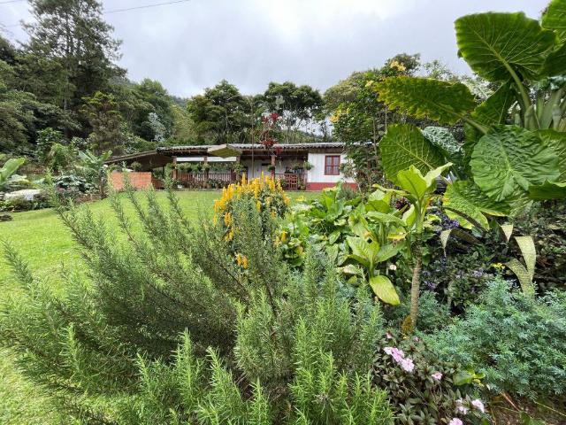 Casa campestre en arriendo, Dapa parcelación hacienda los morales