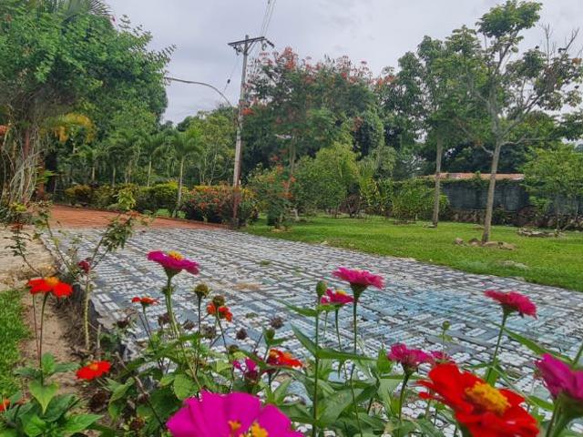 Casa Campestre En Arriendo En Chinacota En. A201865
