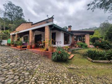 San Pedro de los Milagros, San Pedro, Antioquia, Antioquia