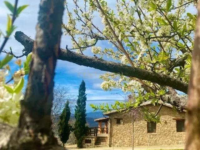 Casa casi nueva en Jarandilla de la Vera, Cáceres. Cuenta con 5 hectáreas de terreno