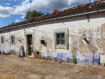 Casa centenária para recuperar em Palmeiros/Salir