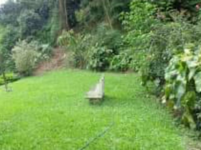 CASA CERCADA DA NATUREZA