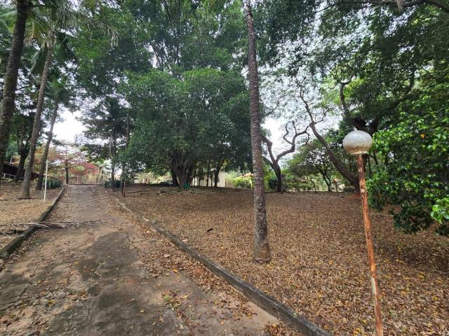 Casa chácara para alugar com 3 quartos no Jardim dos Coqueiros, Catanduva Imobiliária Casa Verde Catanduva