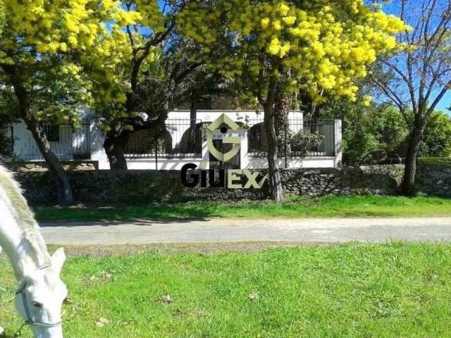 Casa chalet en Venta en Tejeda de Tiétar