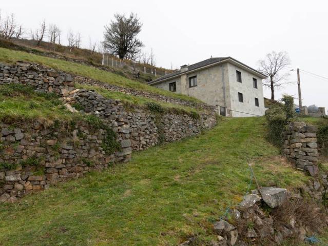 Casa chalet en Venta en Tineo