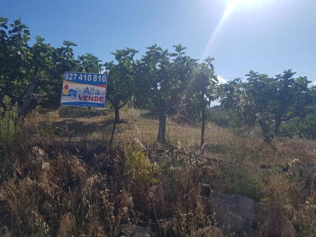 Casa chalet en Venta en Torremenga