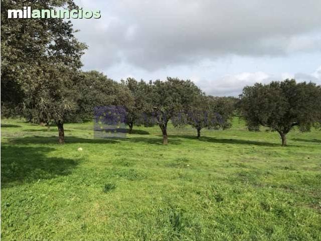 Casa chalet en Venta en Torrejoncillo