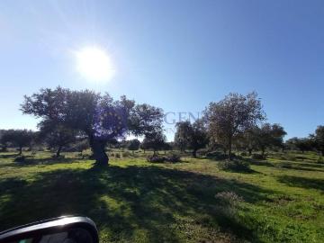 Casa chalet en Venta en Torrejoncillo