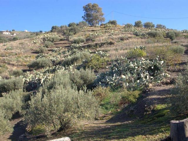 Casa chalet en Venta en Torrox Pueblo