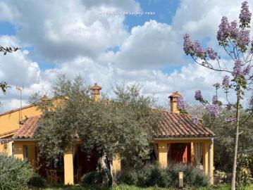 Casa chalet en Venta en Trujillo