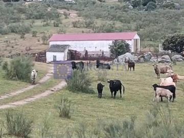Casa chalet en Venta en Trujillo