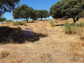 Casa chalet en Venta en Trujillo