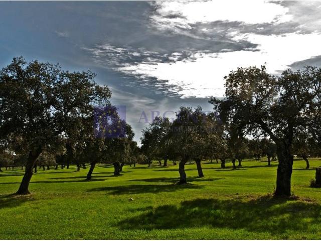 Casa chalet en Venta en Trujillo