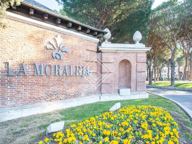 Casa chalet en Venta en Urbanización La Moraleja
