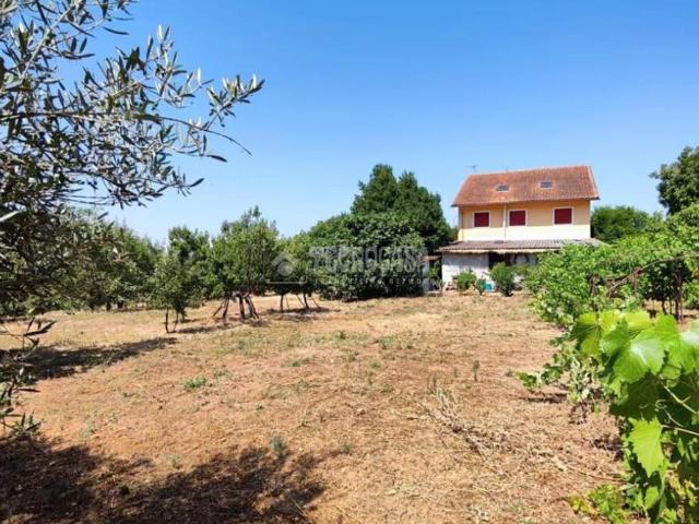 Casa chalet en Venta en Valdeavero
