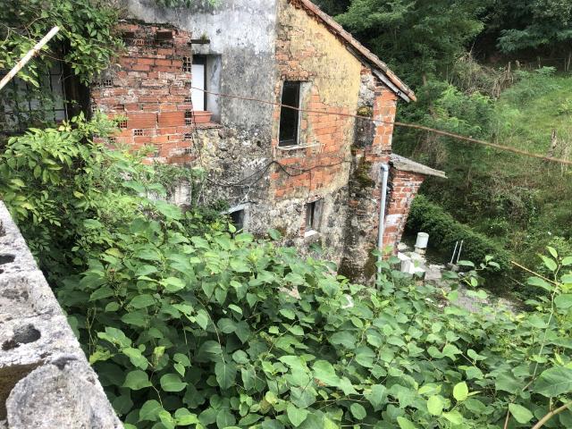 Casa Chalet en Venta en Viernoles Cantabria