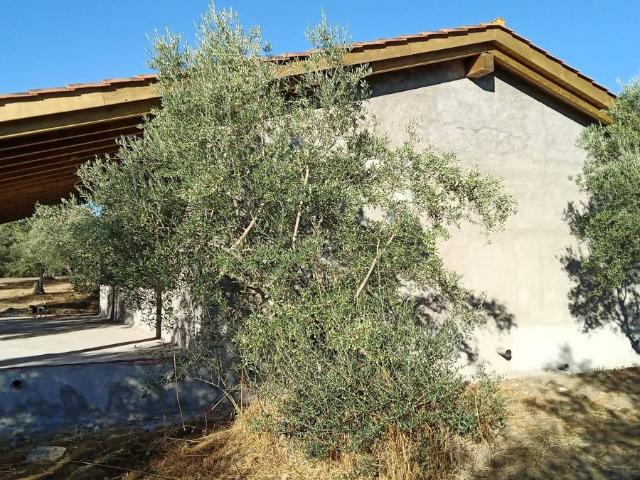 Casa chalet en Venta en Villanueva de la Vera