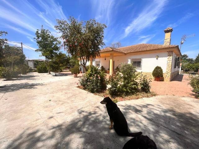Casa chalet en Venta en Villarrubia