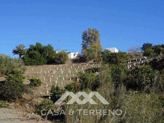 Casa chalet en Venta en Viñuela