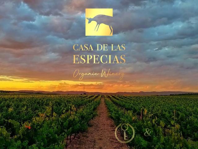 Casa chalet en Venta en Yecla