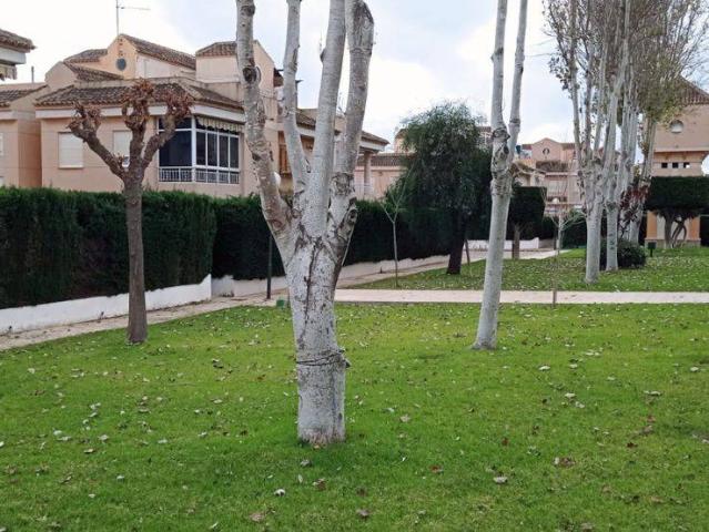 Casa chalet en Venta en Aguas Nuevas