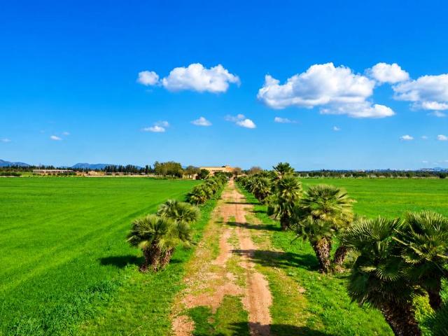 Casa chalet en Venta en Alaró